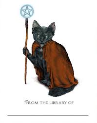 Cat game is the world's #1 virtual cat game! Wizard Cat Wizard Cat Magic Cat Cat Tattoo