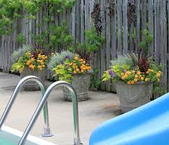 Pin By Susan Bush On Backyards Blooms Backyard Pool Landscaping Pool Plants Pool Landscaping