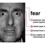 Contoh surat undangan ulang tahun dalam bahasa inggris beserta artinya. 3 Contoh Surat Pesanan Dalam Bahasa Inggris Dan Artinya