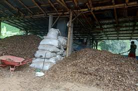 We did not find results for: Penyulingan Minyak Daun Cengkeh Dalam Meningkatkan Kesejahteraan Masyarakat
