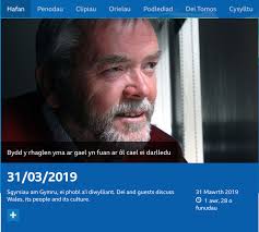 News — Rhiannon Lewis