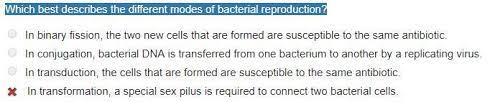 Which Best Describes The Different Modes Of Bacterial Reproduction Brainly Com