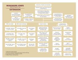 extension organizational chart mississippi state