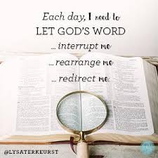 Image result for tbn:bnDxrxBNoAUulM::www.l5s.net/uploads/bb6759cfc9.jpg