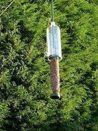 The Problem With Opening A New Restaurant Is That You Can T Be Sure Who S Squirrel Proof Bird Feeders Squirrel Proof Bird Feeder Diy Squirrel Proof Bird Feeder