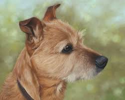 Custom pet portrait, dog portrait, custom dog portrait custom canvas, dog painting, dog memorial portrait, digital picture, valentines gift. How Much Do Pet Portraits Cost Find The Price For Your Pet Portrait Here Sarahs Pet Portraits