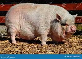 Why do people feel the need to pose like this in public? : rtrashy