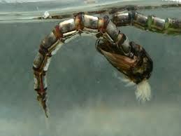 Fly Fishing Chironomids - Chironomid larva pupa life cycle, behavior, fly  patterns & fishing techniques to fly … | Fly fishing tips, Fly fishing,  Fishing techniques