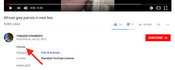 How to add music in this video on youtube description. Youtube Video Description