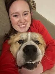 Great Pyrenees dogs and their adorable smiles