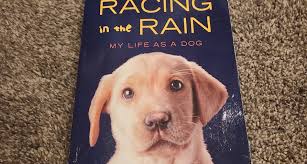 Racing in the Rain: My life as a dog by Garth Stein, Paperback | Pangobooks