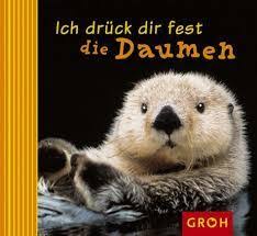 Resultat De Recherche D Images Pour Viel Erfolg Sohn Zitate Erfolg Spruche Coole Spruche