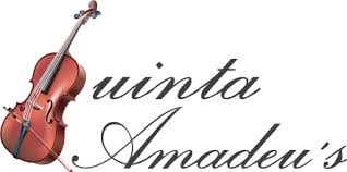 We did not find results for: Quinta Amadeus