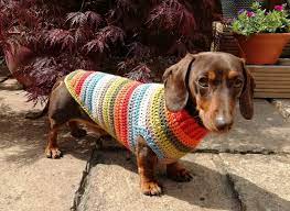 orla kiely inspired dachshund jumper dachshund dog sweaters dog sweaters dog jumpers