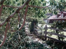 10050 cielo drive is a mansion in benedict canyon, north of beverly hills, los angeles, california. 10050 Cielo Drive By George E Smith Posts Facebook