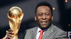 Resultado de imagen para pele