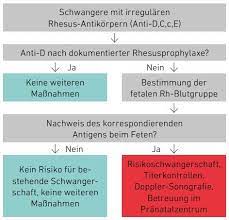 Antikorper Bei Schwangeren Droht Dem Kind Ein Morbus Hamolytikus Neonatorum Ladr Wir Leben Labor
