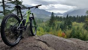 If you select search for a friend you can use a dodo code to connect with a a resident or your future self will receive the card after some time has passed. Mountain Biking In India A Thrilling Adventure To Try Out In 2021