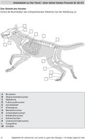 Inhaltsverzeichnis Pdf Free Download