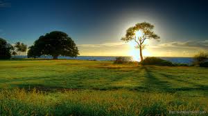 » nature wallpapers and backgrounds. Beautiful Nature Hd Wallpaper Free Download Windows 10 Wallpapers