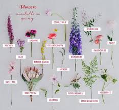 Seasonal Flower Guide Spring Green Wedding Shoes Flower Guide Seasonal Flowers Wedding Flower Guide