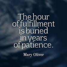 Patience Perseverance And Persistence Mary Oliver Quotes Wise Quotes Words Quotes