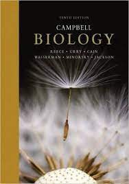 We did not find results for: Campbell Biology 10th Edition Ebook Pdf Free Download Dandelion Macro Photography Campbell Biology