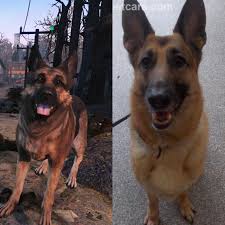 One of gamings favourite puppers, Dogmeat from Fallout 4, and Dogmeat's  voice actor, River : r/rarepuppers