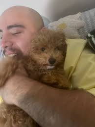 Regular Halo vs Halo doing his thing! He loves to jump high!