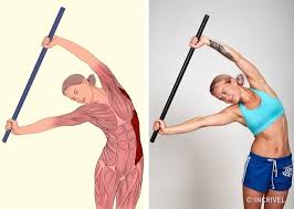 18 ilustracoes que mostram que musculos voce esta alongando karin kaslari germe egzersizleri ust beden egzersizleri
