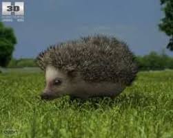 Hedgehog 3d Models Free 3d Hedgehog Download 3d Model Hedgehog Model