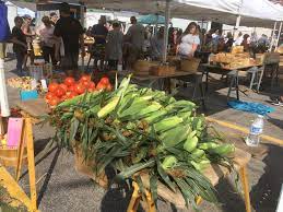 We did not find results for: No Dogs Allowed At The Farmer S Market In North Tonawanda The Niagara Reporter