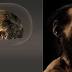 Fossils found in African cave are new species of human kin, say...