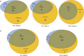 , orf7b (orf7b protein), orf8 (orf8 protein), n (structural nucleocapsid phosphoprotein), and orf10 (orf10 protein). The N Gene Of Sars Cov 2 Was The Main Positive Component In Repositive Samples From A Cohort Of Covid 19 Patients In Wuhan China Sciencedirect