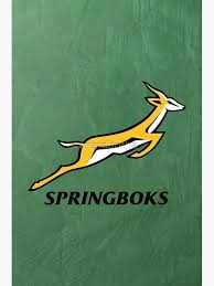 Springboks Rugby 2019 Springbok Rugby World Cup Champions Canvas Print By Arend Studios Springbok Rugby Canvas Prints Rugby