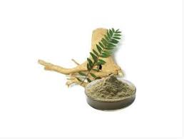 Tongkat ali extract and tribulus complex holds a wide array of health benefits. China Tongkat Ali Extract Eurycoma Longifolia China Eurycomanone 0 8 Tongkat Ali Extract