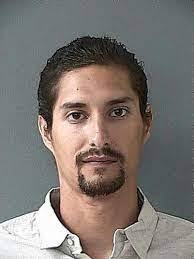 Alida Mattson's Instagram, Twitter & Facebook