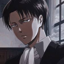 Mikasa's partially asian because of her mother, who was part of the azumabito family, the family that's known as the asian clan inside the walls.on her father's side she belongs to the ackerman family, just like levi on his mother's side. Titan Anime Levi Ackerman Aesthetic Novocom Top