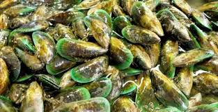 Ulat gendon juga bisa loh dijadikan umpan jitu ikan air tawar. 9 Jenis Kerang Aman Konsumsi Yang Bikin Menu Lebih Bervariasi