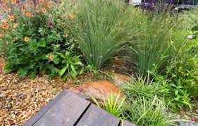 Watch our rain garden animation by clicking the picture below and see how a rain garden works, both above and below ground. How To Make A Rain Garden Financial Times