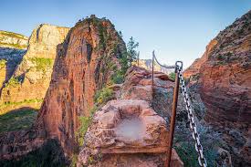 It was an incredible long weekend filled with. Zion National Park Angels Landing Zion Wildflower Resort