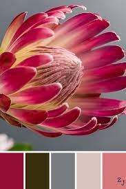 Zj Colour Palette 819 Colourpalettes Colourinspiration Color Schemes Colour Palettes Color Balance Protea Art