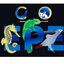 Place your order anytime online. Colorado Exotic Pet Expo Home Facebook