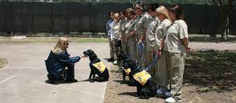 We did not find results for: Bop Federal Inmates