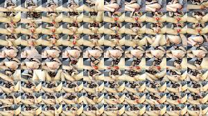 Camgirl Uses Pump on Her Smooth Pussy - XNXX.COM