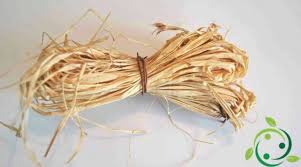 La Rafia Ed I Suoi Utilizzi Come Distinguere Quella Naturale Da Quella Sintetica Â i weaved the rafia around each sprig, then wrapped it around all of them, to make sure they were held. la rafia ed i suoi utilizzi come