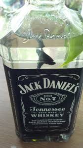 Jack Daniels Fish Bowl Betta Bottle Habitate Sea Glass Aquatic Bamboo Mondo Grass On Etsy 19 99 Bottle Fish Bowl Jack Daniels Whiskey Bottle
