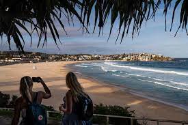 Gate caster with adjustable spring 4 in. Vanquish The Virus Australia And New Zealand Aim To Show The Way The New York Times