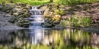 Check out our guide on how to keep a pond clean without a filter if this describes you. Natural Swimming Pools Vs Swimming Ponds Infographic