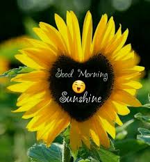 At poemsearcher.com find thousands of poems categorized into thousands of categories. Sunshine Good Morning Beautiful Flowers Sunflower Quotes Good Morning Beautiful
